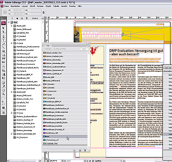 0_DMP_indesignElements_300_ger.png